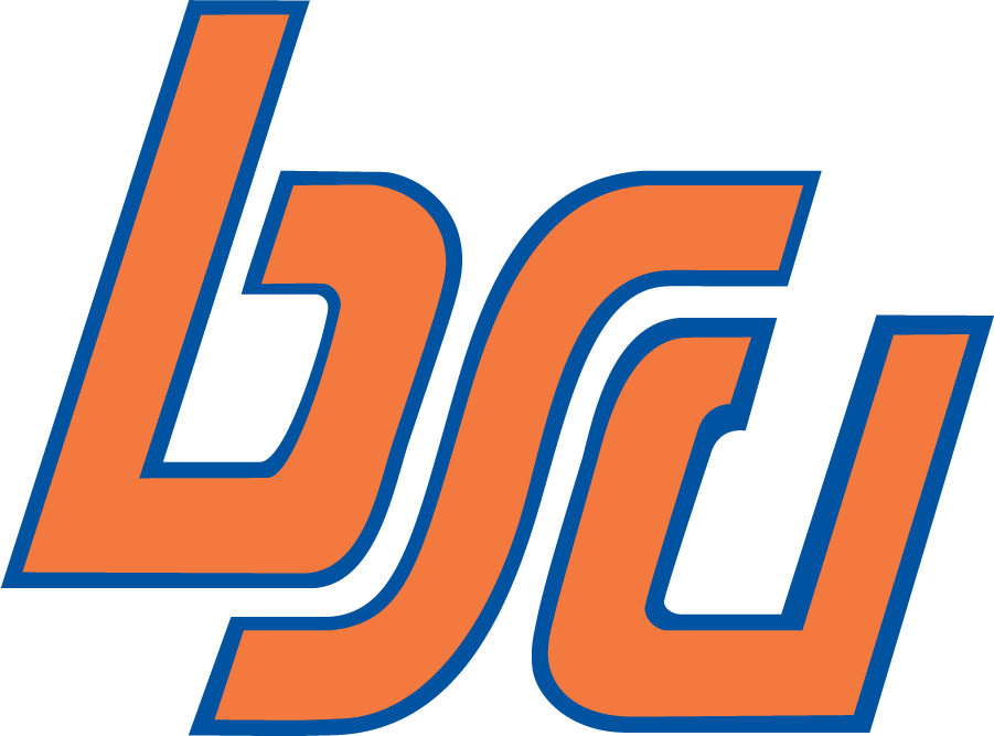 Boise State Broncos 1974-2002 Alternate Logo t shirts iron on transfers
